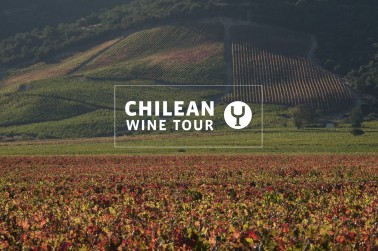 Chilean Wine Tour